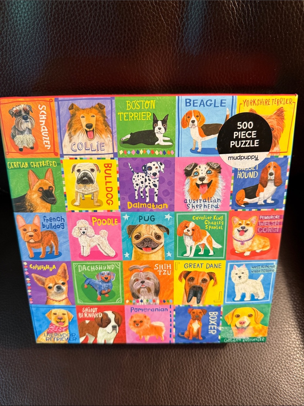Mudpuppy Paw some Portraits.  500 piece jigsaw puzzle Complete with poster